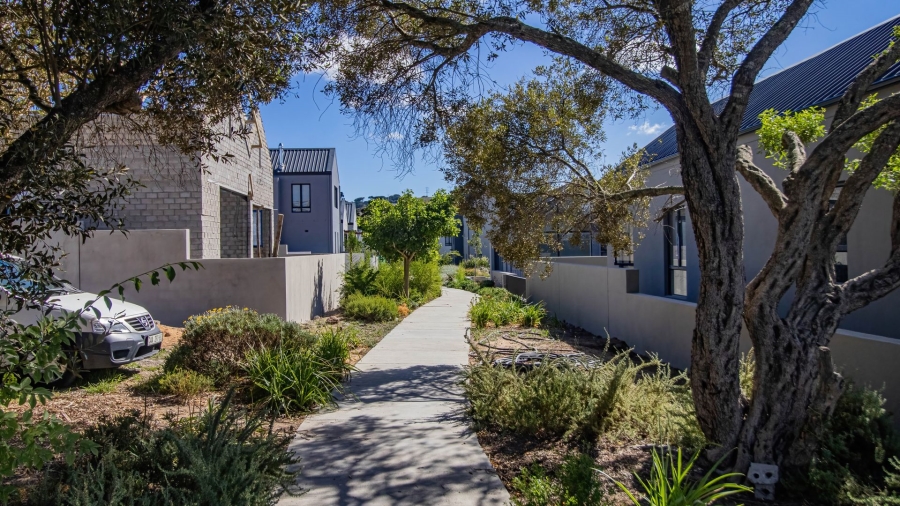 4 Bedroom Property for Sale in Stellenbosch Farms Western Cape